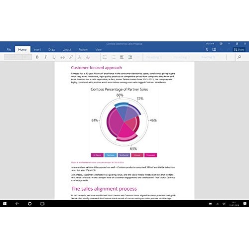 Microsoft Office Home and Business 2013 | Vente au détail  Numérique (ESD/UE)