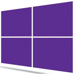 Microsoft Windows 10 Professionnel 64 Bit | OEM Licence | Numérique (ESD/UE)