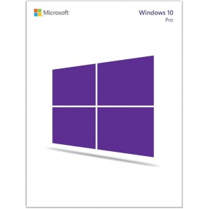 Microsoft Windows 10 Professionnel 64 Bit | OEM Licence | Numérique (ESD/UE)