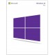 Microsoft Windows 10 Professionnel 64 Bit | OEM Licence | Numérique (ESD/UE)
