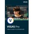 VEGAS Pro 19 | Numérique (ESD/UE)
